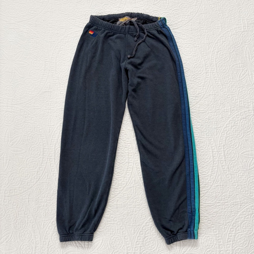 Aviator Nation Cool Blue/Green 5-Stripe Sweatpants